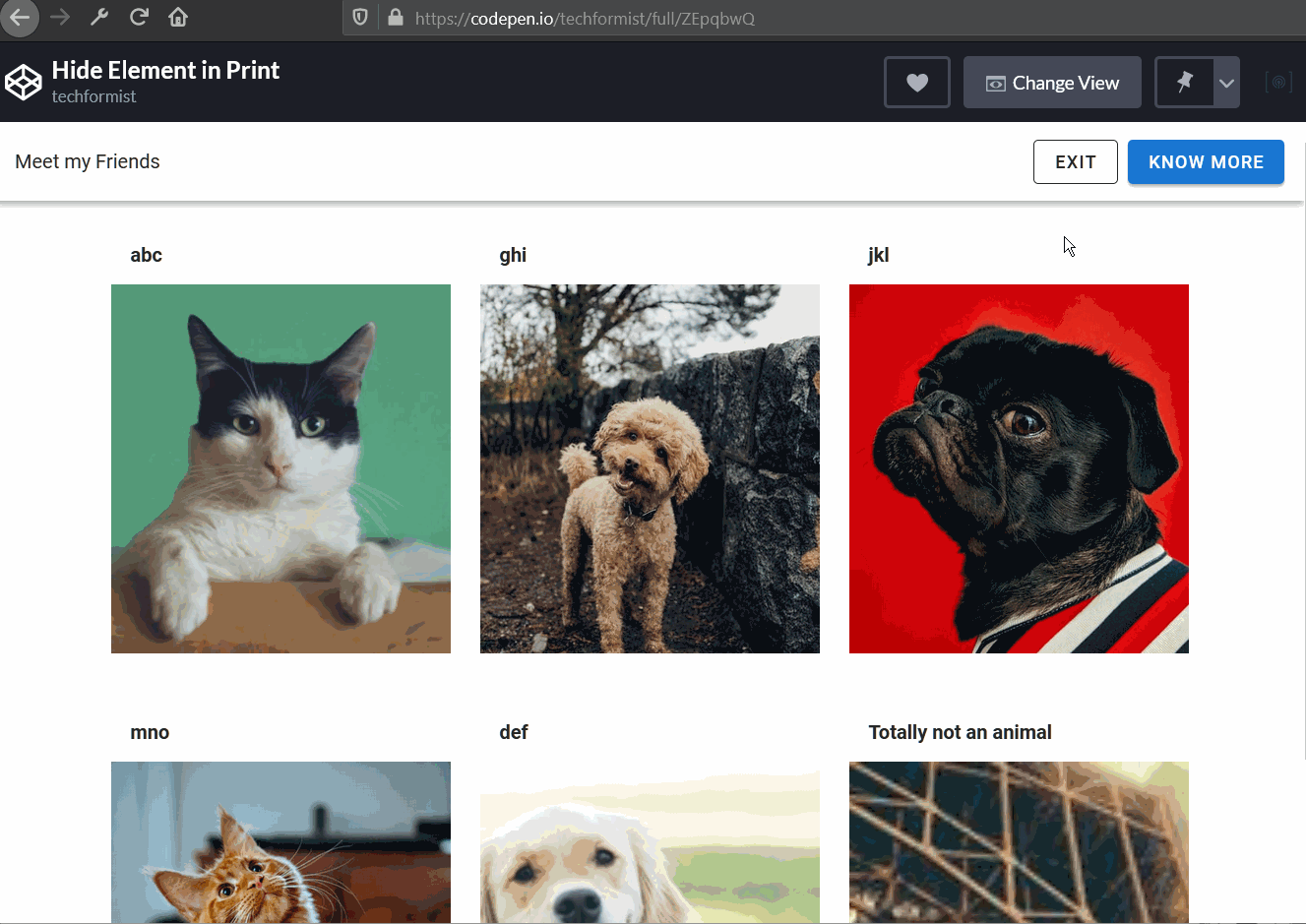hide-print-element-css-no-css
